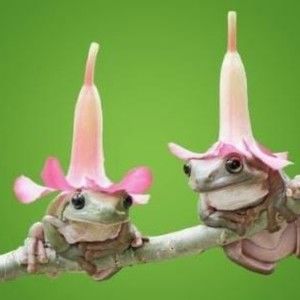 Meet your Posher, Jack